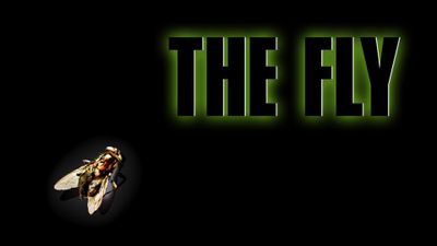 The Fly Poster Landscape Image