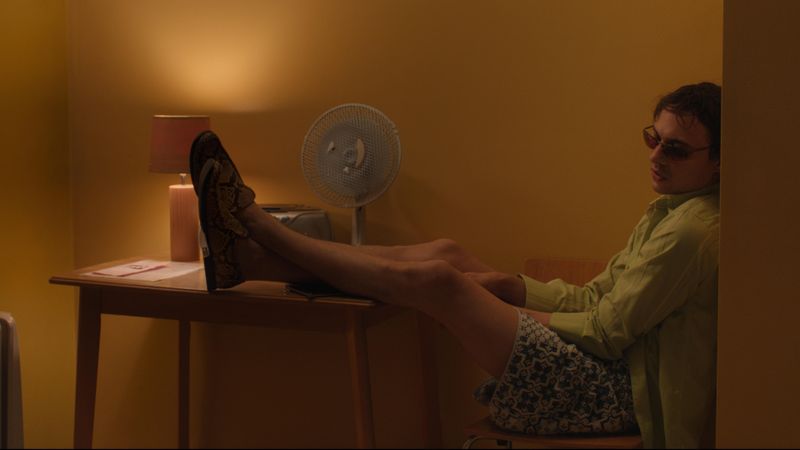 Urchin Backdrop Image