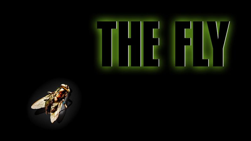 The Fly Poster Landscape Image